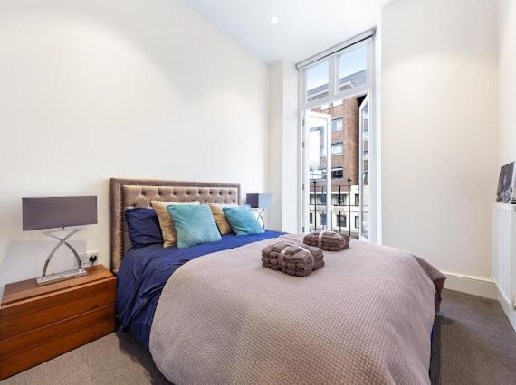 Apartamento Harley Street Luxury Snug Londres Exterior foto